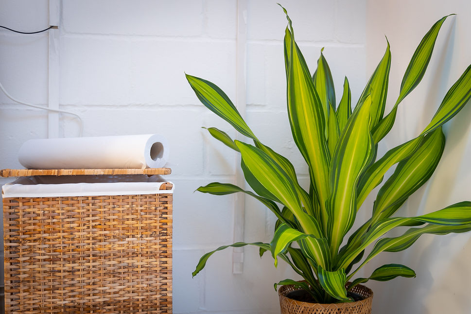 Hackney Therapy Space Rental-16.jpg