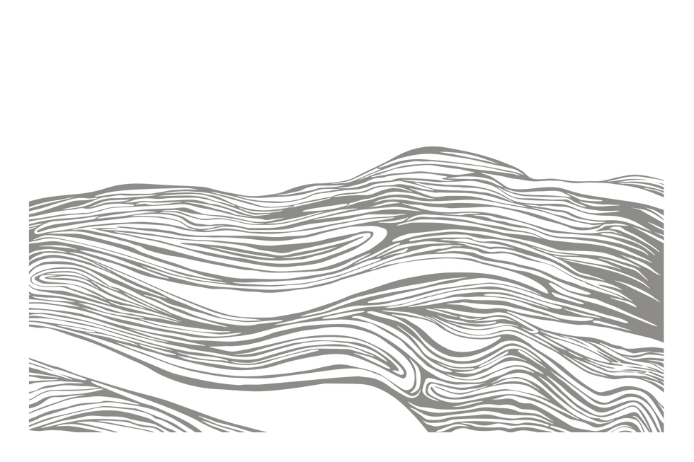 TEXTURA_1_edited.png