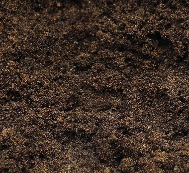 base soil.jpeg