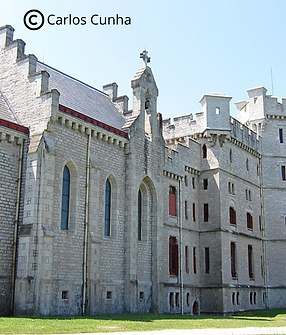 Votre texte de paragraphe (6).png