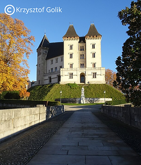 Votre texte de paragraphe (4).png