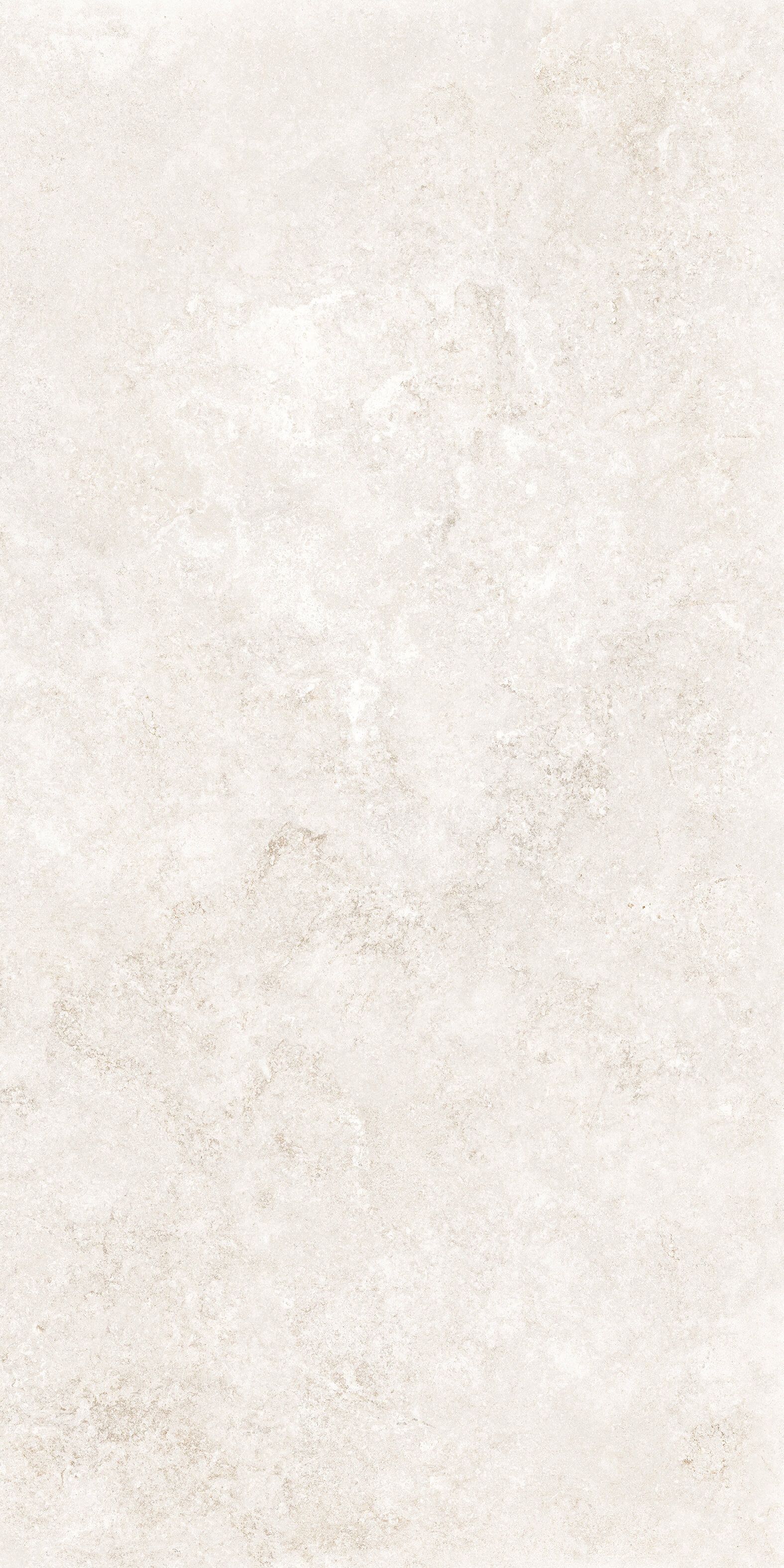 24" x 48" Pietra De Medici Uffizi White