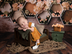 Newborn Photography- Why is it so expensive? Holly Brummert Photography - Stow, Ohio Photographer