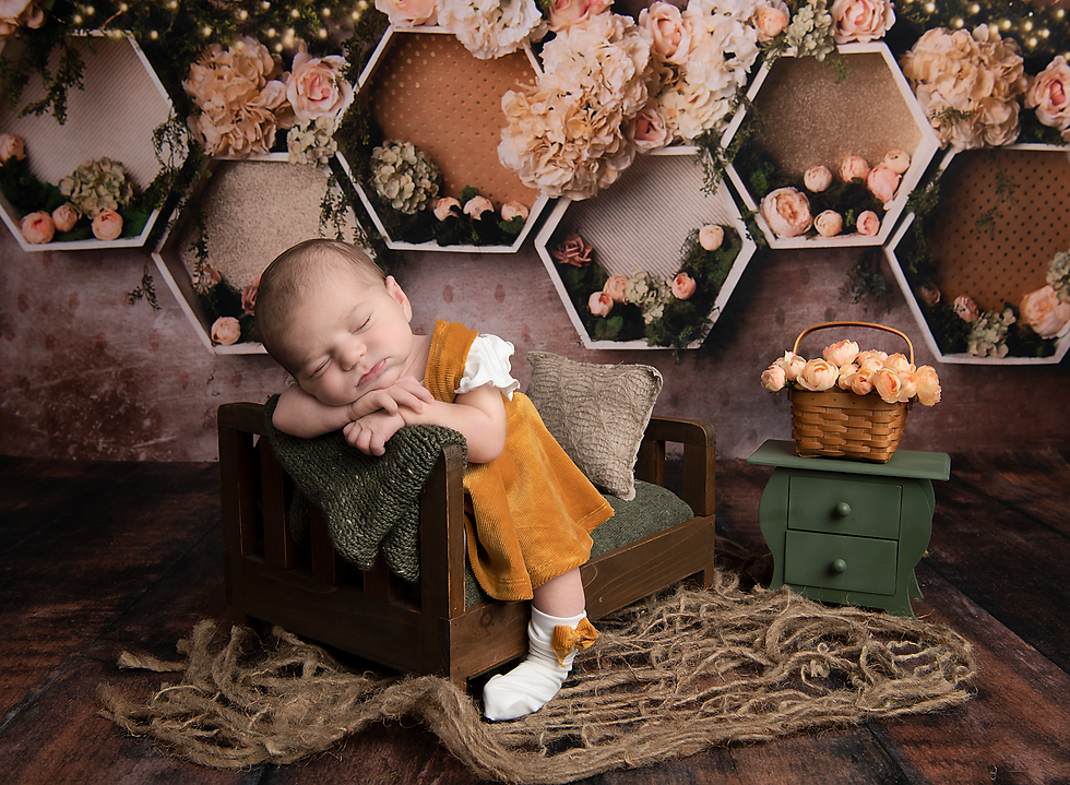 portrait, newborn, milestone, cake smash, family photographer stow Oh, summit county, cleveland holl