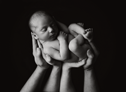 DSC_5565 melissagelsominoFB7