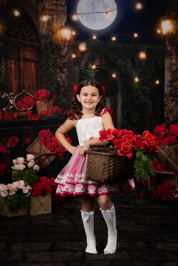 portrait, newborn, milestone, cake smash, family photographer stow Oh, summit county, cleveland, nor