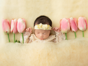 Giavanna Speers Newborn Session