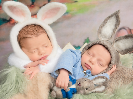 portrait, newborn, milestone, cake smash, family photographer stow Oh, summit county, cleveland, Holly Brummert Photography