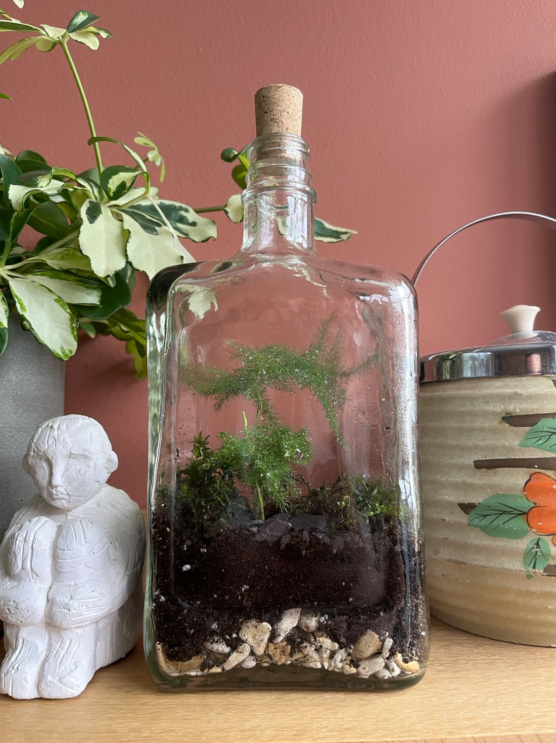 Terrarium B