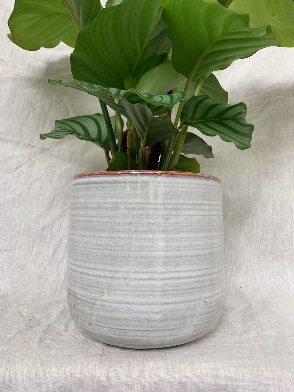 Thumbnail: Nimbus Pot | Multiple sizes