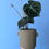 Thumbnail: Beton Pot: Green | D14cm