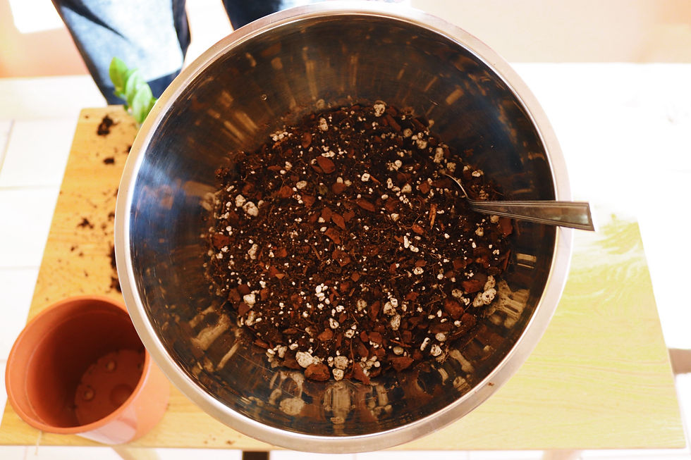 A bowl of potting soil