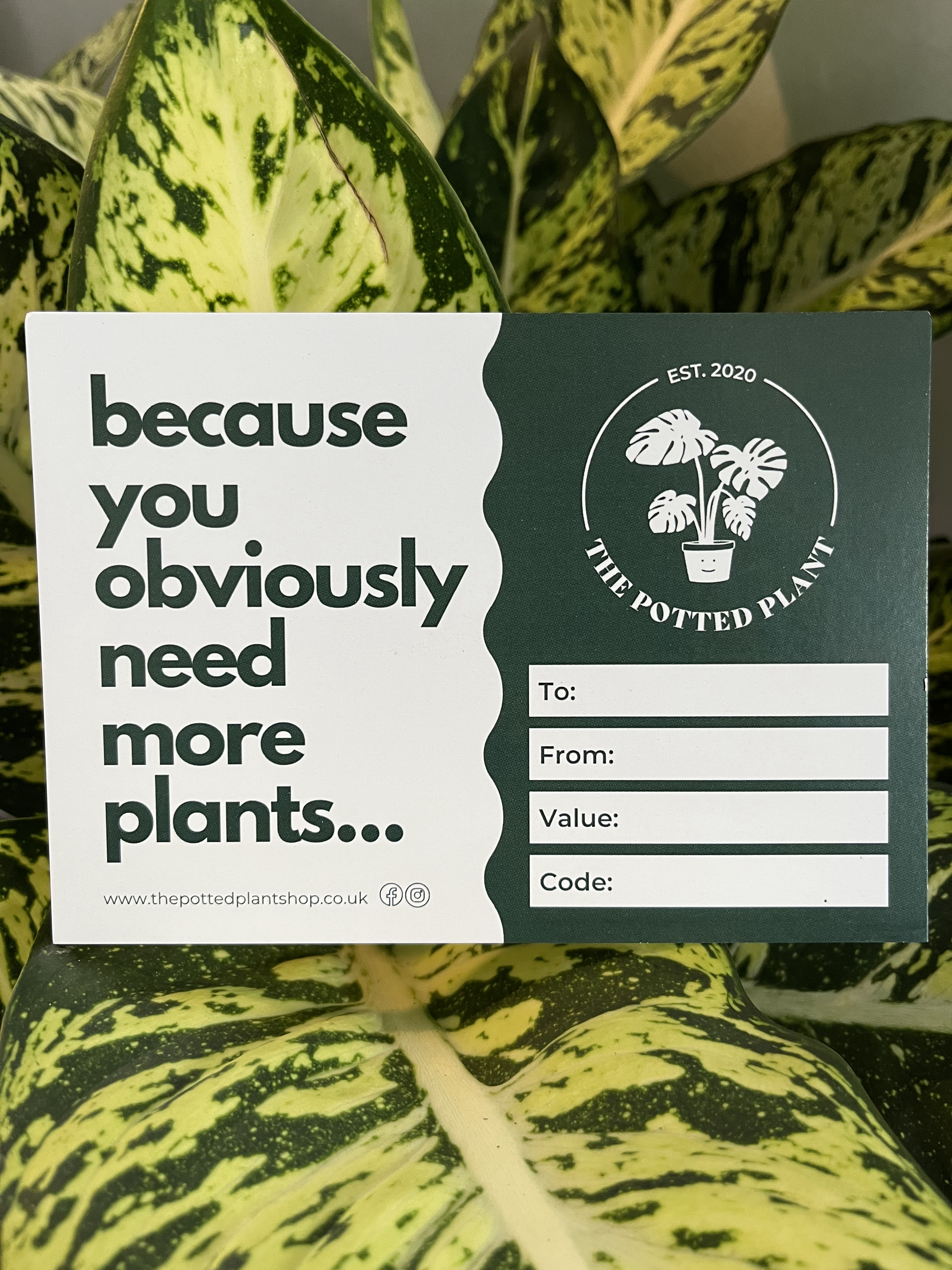 Gift Voucher (Physical Card)