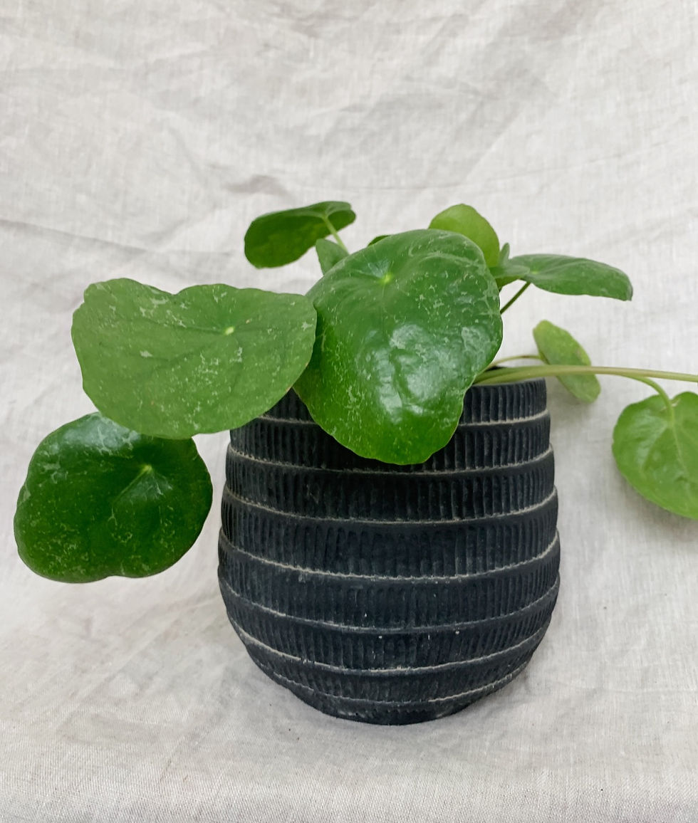 Thumbnail: Black Window Pot | Multiple sizes