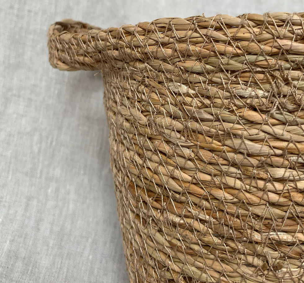 Thumbnail: Juno Basket Pot