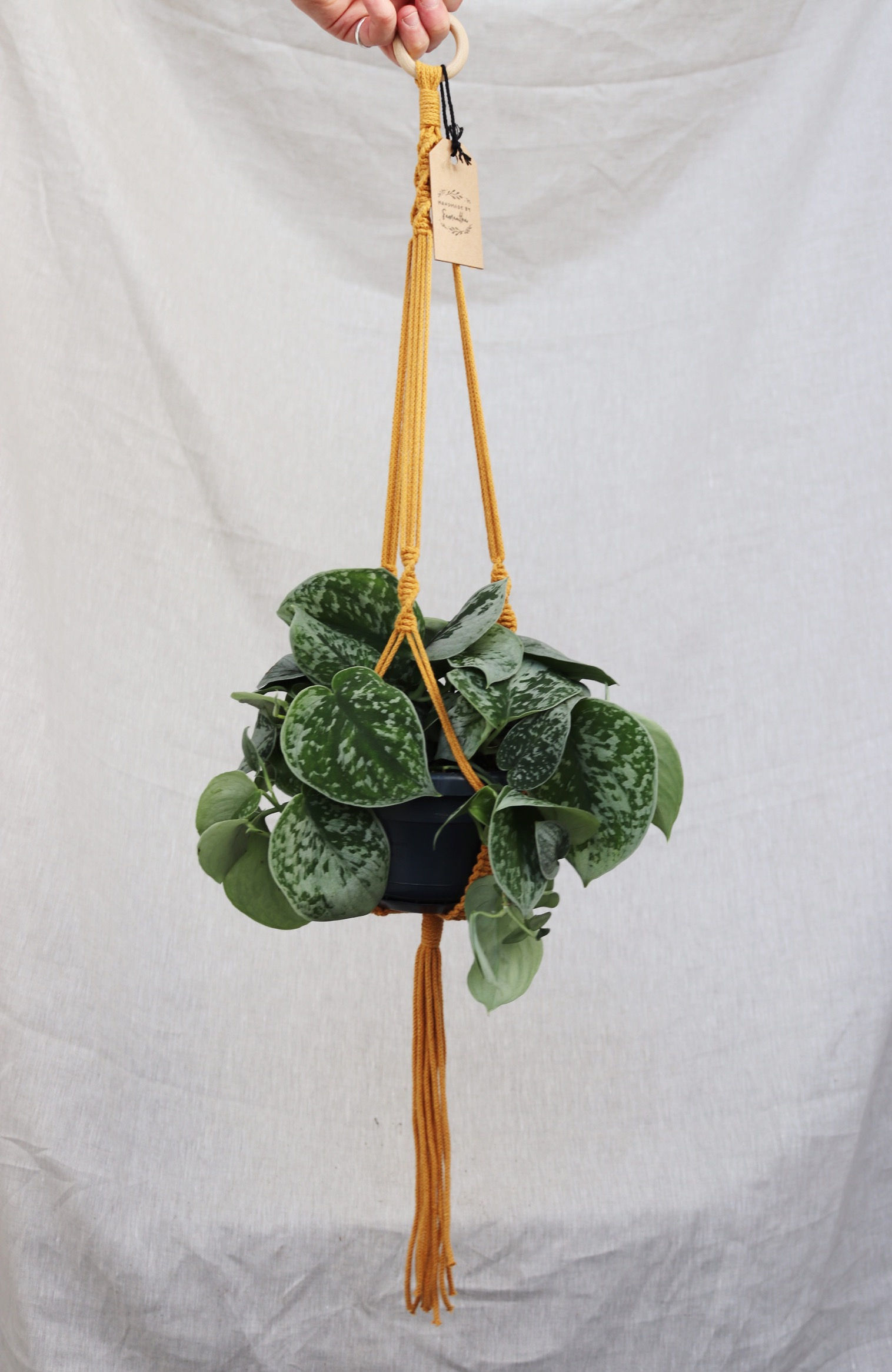 Macrame Hanger: Mustard