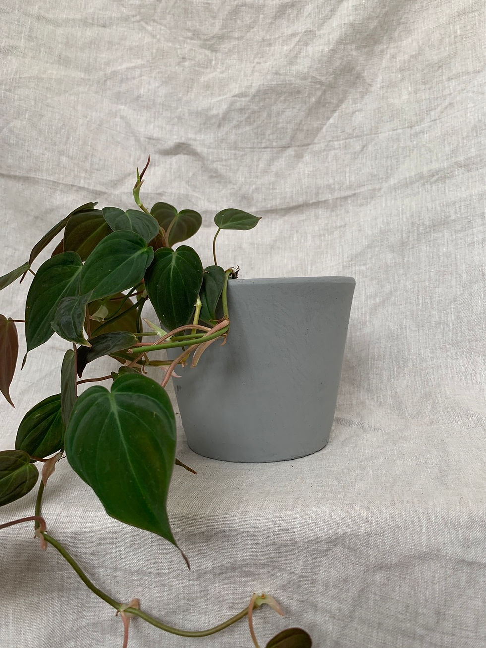 Thumbnail: Hände Pot D13cm