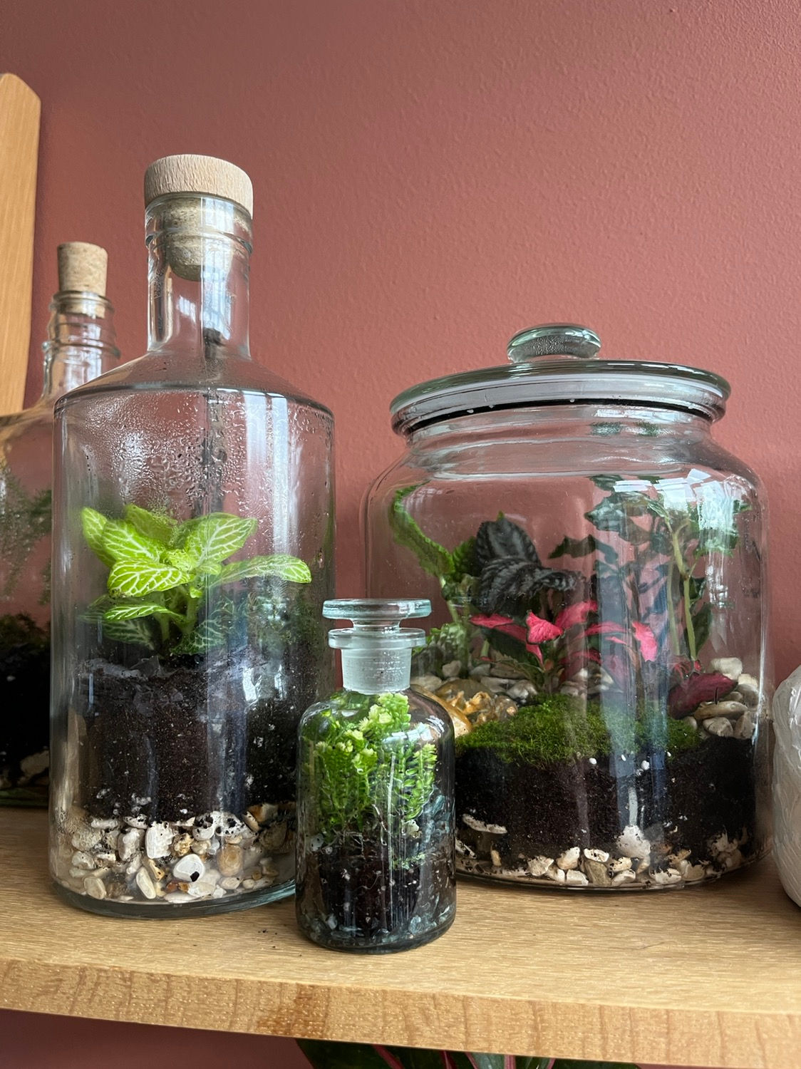 Miniature Terrariums