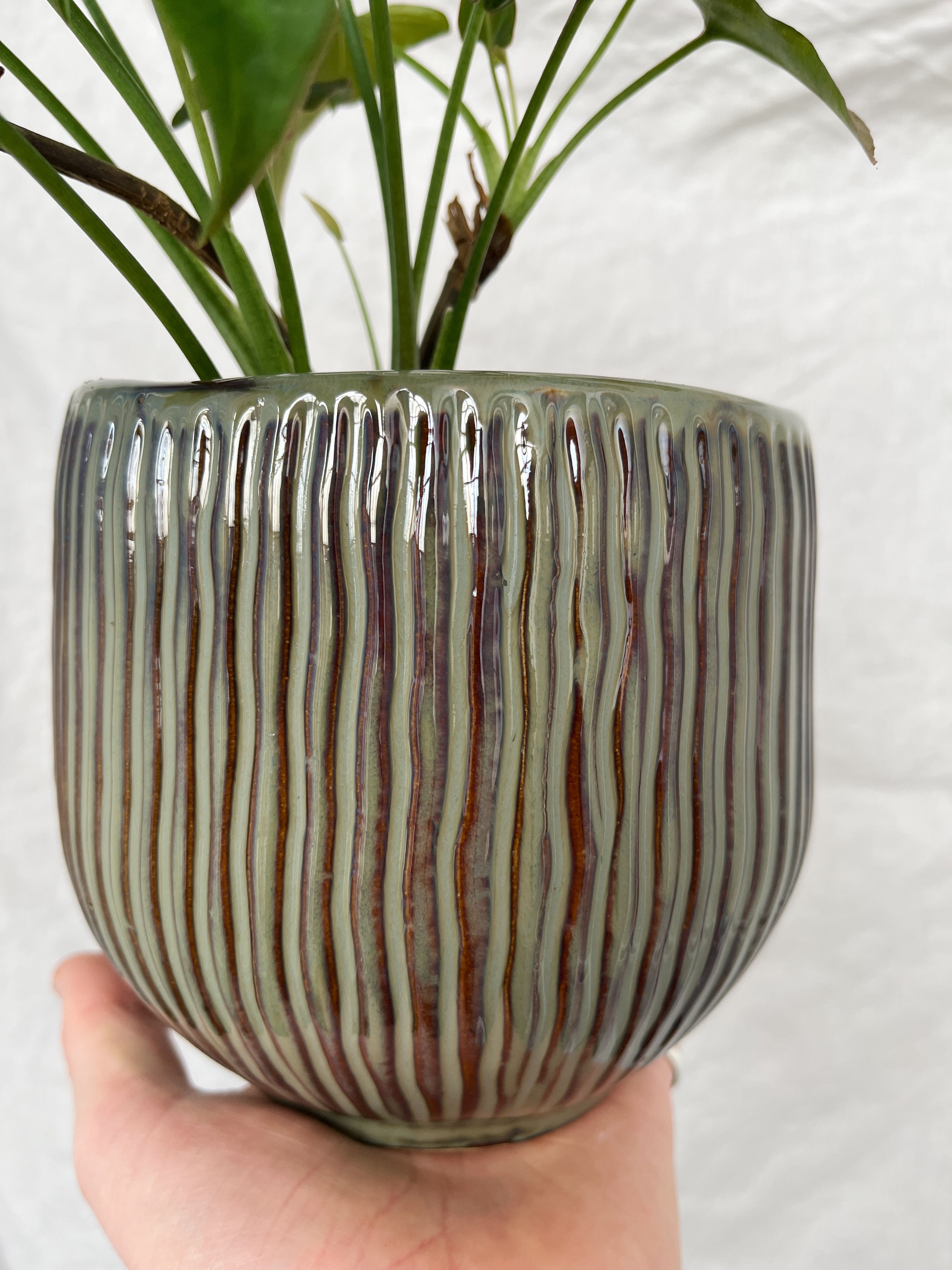 Gardolo Pot D12.5cm