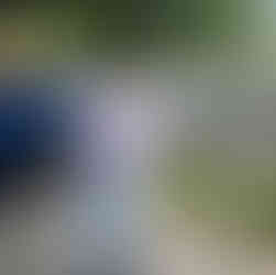 Thank you to WFMV, one of our long standing media partners