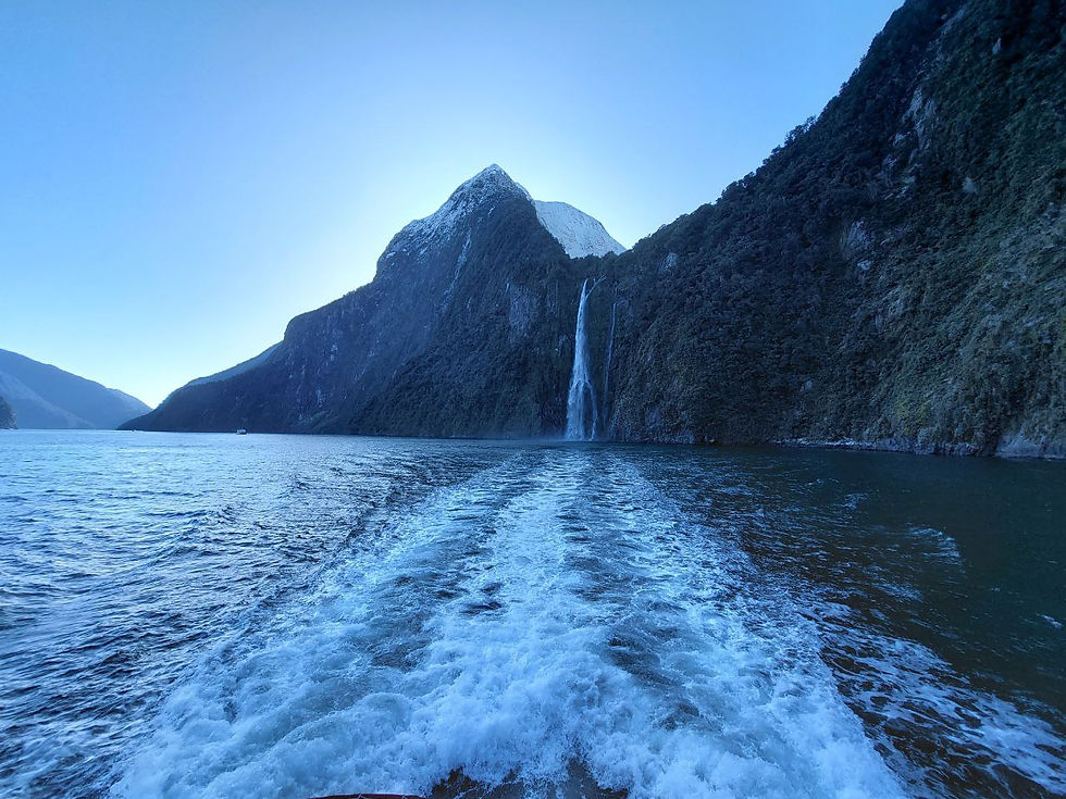 One of the many spectacular waterfalls along Milford Sound. It was a clear, bluebird day which made the experience so surreal.