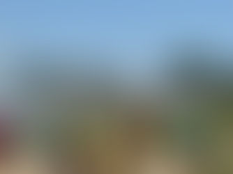 army men and smoke and summer day.