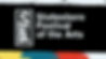 Statesboro Festival for the Arts web banner