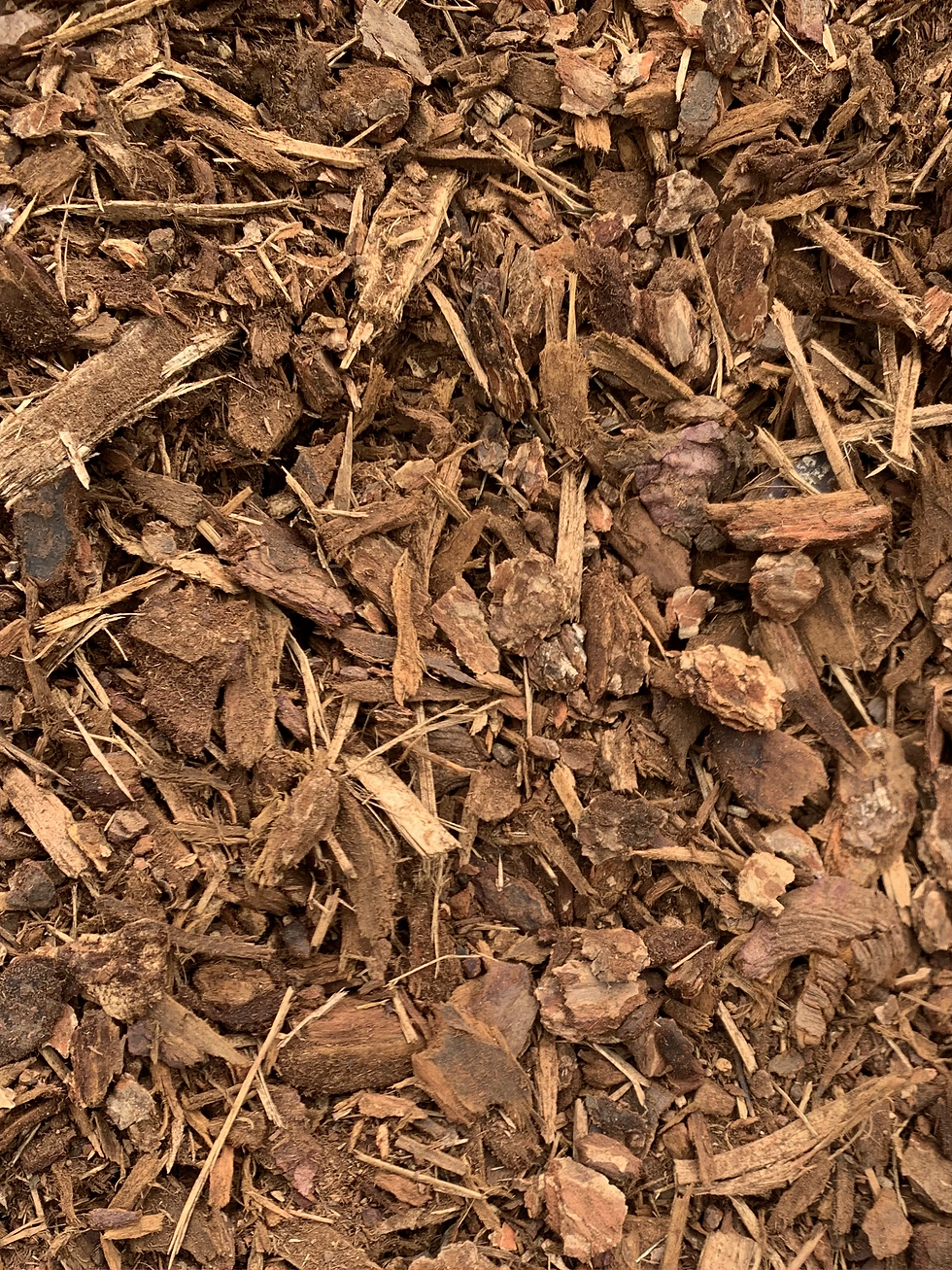 Thumbnail: Medium Bark