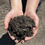 Thumbnail: 50/50 Sand/Compost Mix