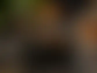 Warum schmeckt Zigarre bitter? Die wahren Gründe