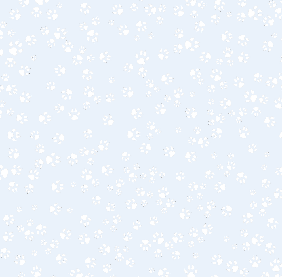 pale blue pawprints background copy.png