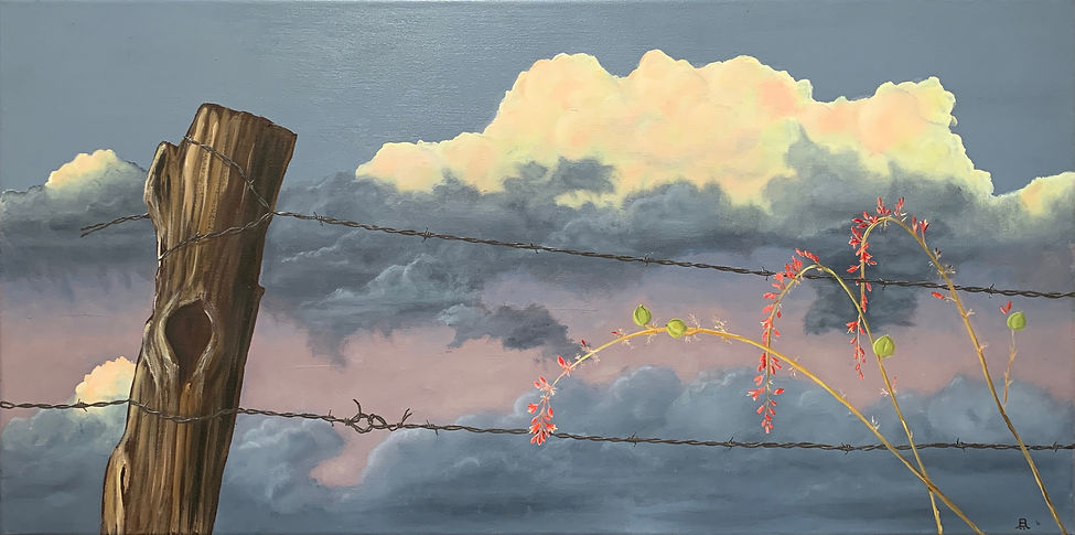 View from Mesa Stormy.jpg