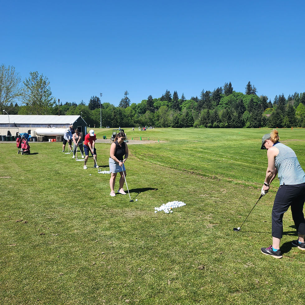 Short Game Series