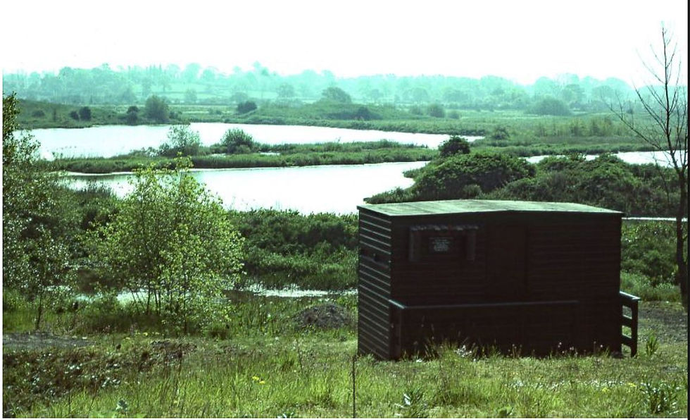 Ladywalk in the 1970s