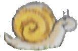 snail.gif