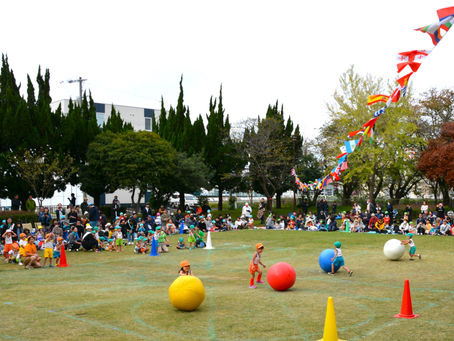 運動会③　年少-大玉転がし