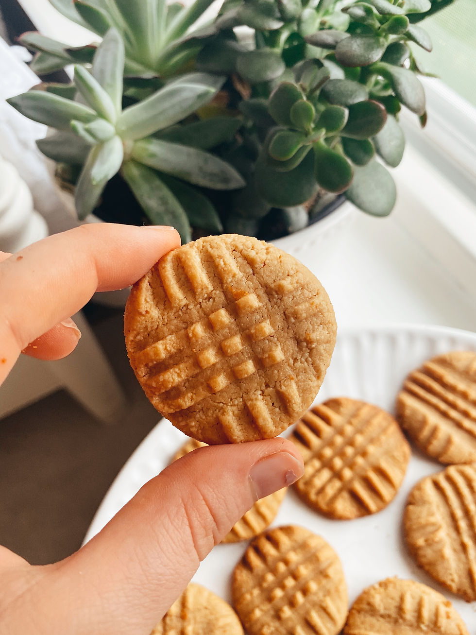 Peanut Butter Cookies
