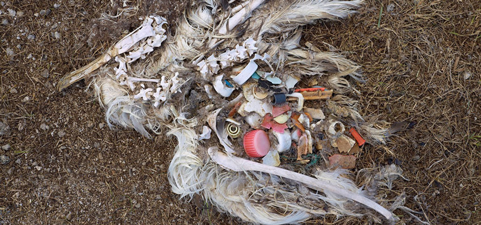 plastic 6.jpg