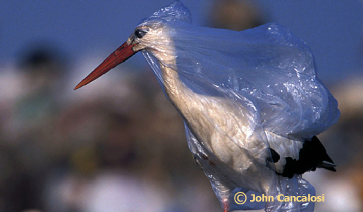 plastic 5.png