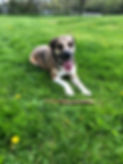 IMG_1847.jpeg