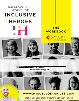 CAEL-IDN D&I Leadership Workbook.png
