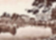 Quint di Treviso - 1.jpg