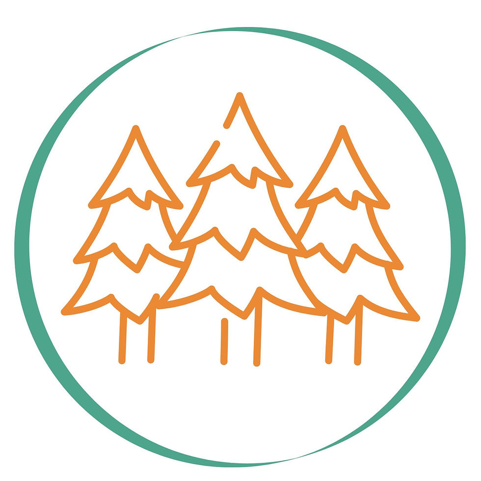 Authenticité forêt (1).jpg