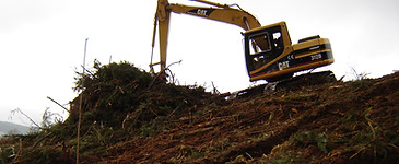 Andainer un terrain forestier andainage