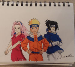 Team Seven
