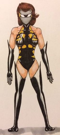 Black And Yellow Garden Spider