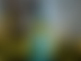 Photo bouteille de vin Domaine de la Courtade