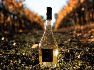 Bouteille de vin Château Pas du Cerf