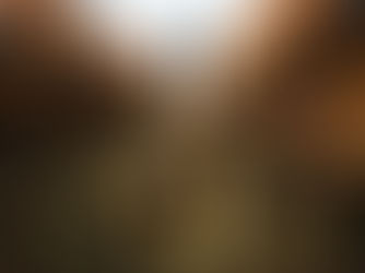 Bouteille de vin Château Pas du Cerf