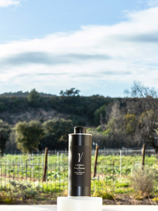 Huile d'olive La Valetanne